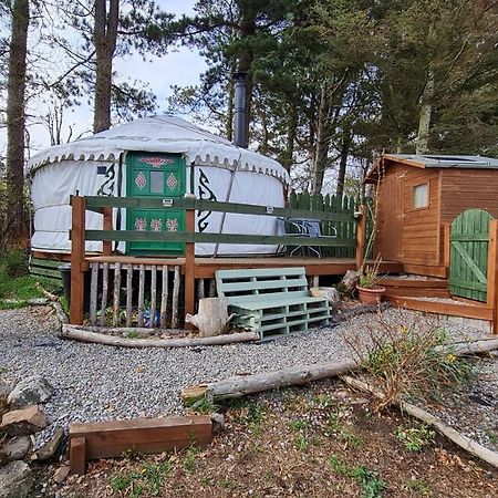 The Tall Pines Yurt Helmsdale Exterior photo