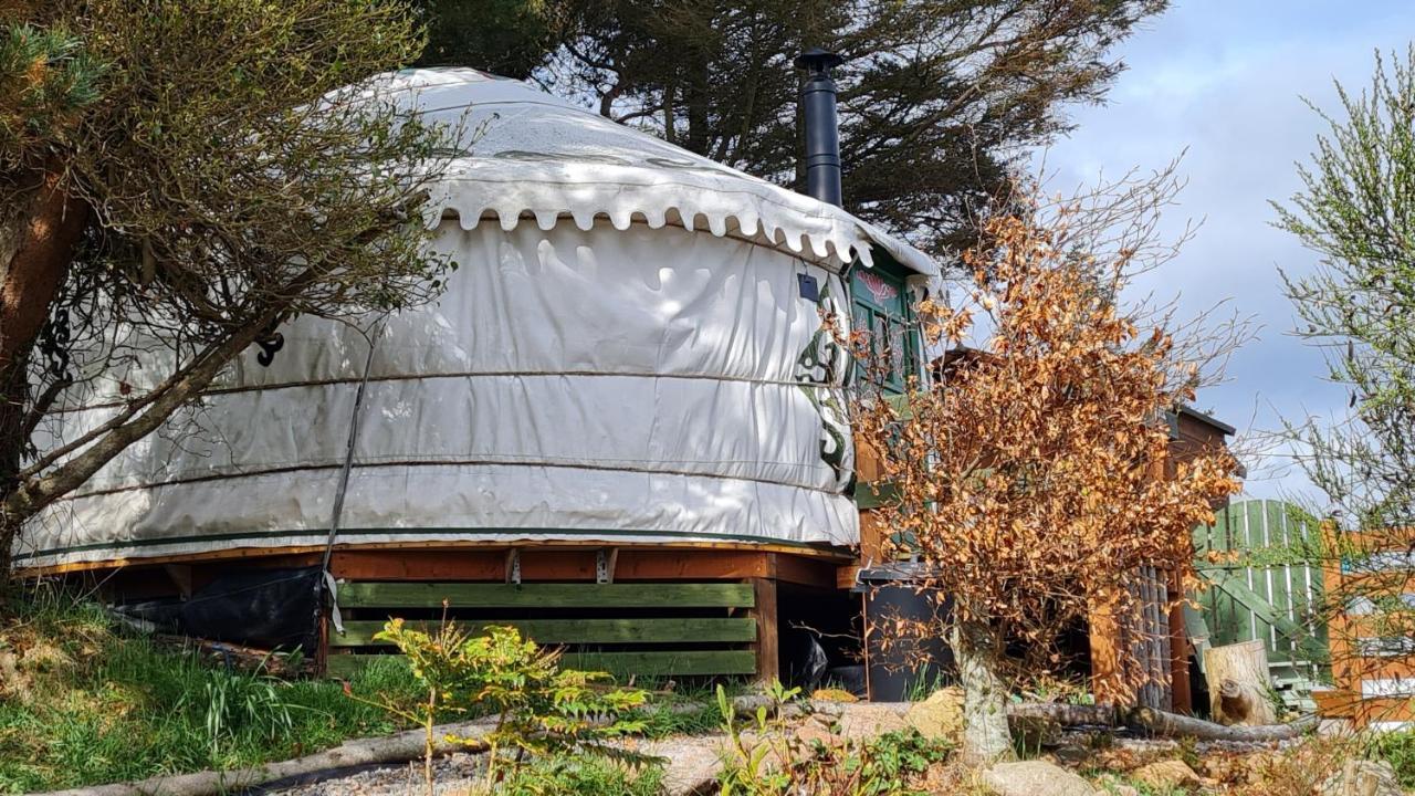 The Tall Pines Yurt Helmsdale Exterior photo