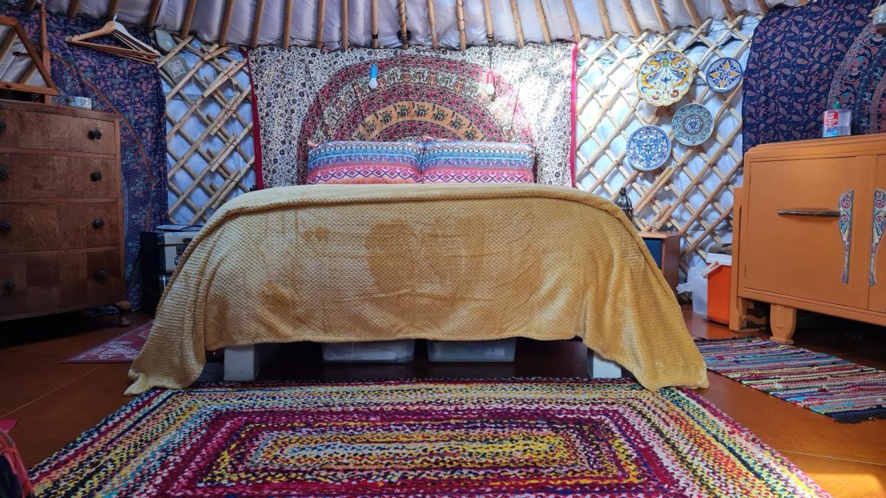 The Tall Pines Yurt Helmsdale Exterior photo