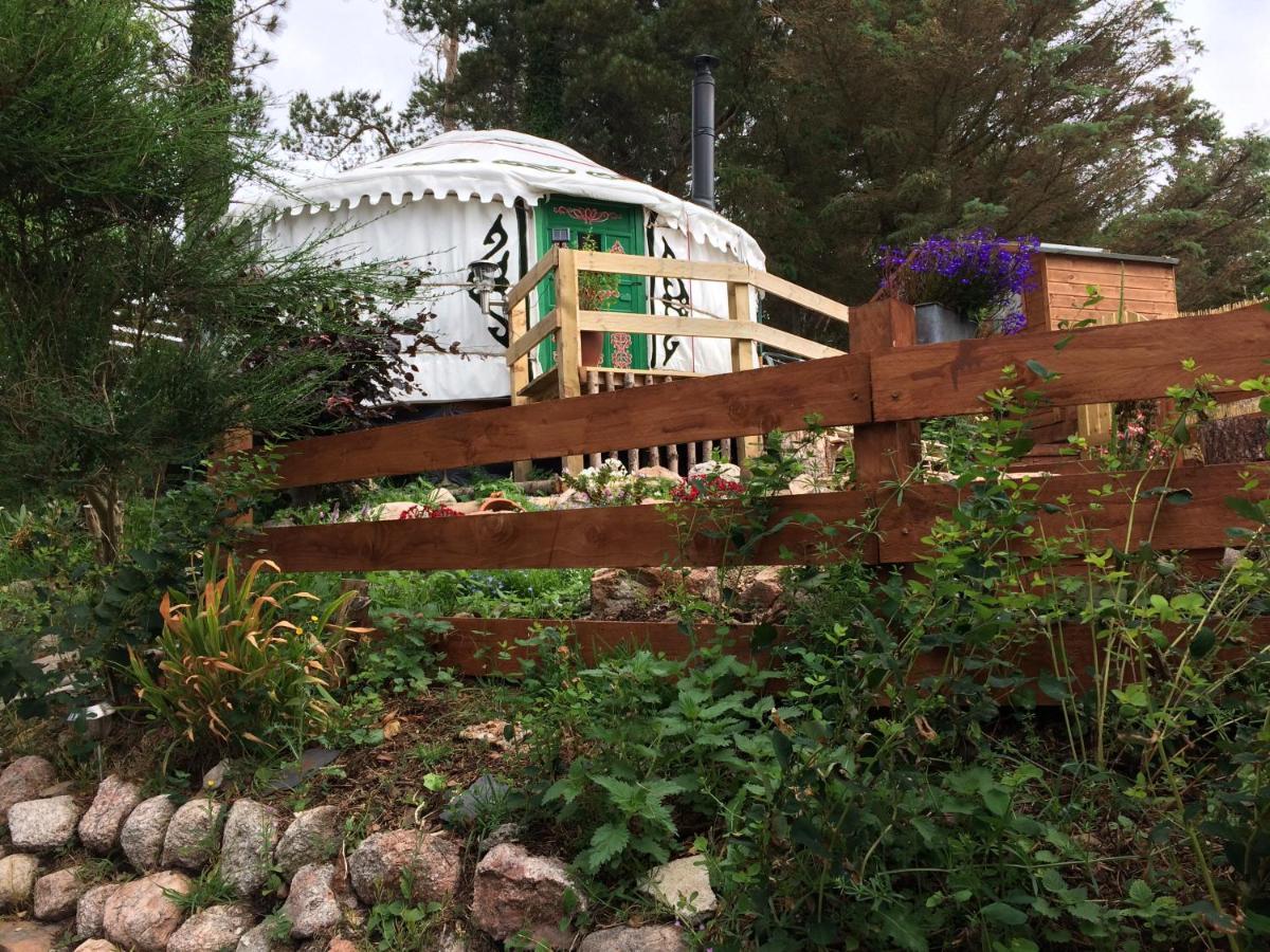 The Tall Pines Yurt Helmsdale Exterior photo
